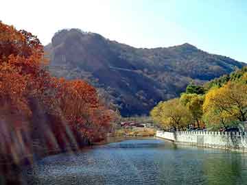 新澳天天开奖资料大全旅游团，气垫车运输